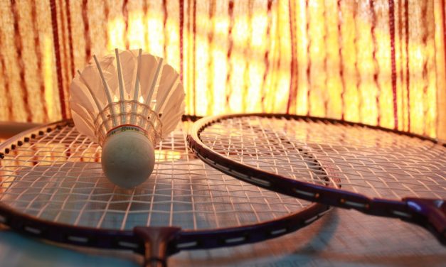 [2017.11.29] Amatorska Liga Badmintona Powiatu Sierpeckiego – siódma runda