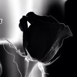 [2020.10.12] Zmarła Wiesława Stopińska